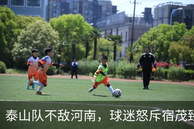 泰山队不敌河南，球迷怒斥宿茂臻滚回青岛，他只是泰山乱象背锅侠