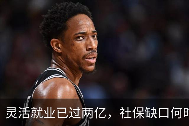 灵活就业已过两亿，社保缺口何时弥补完？